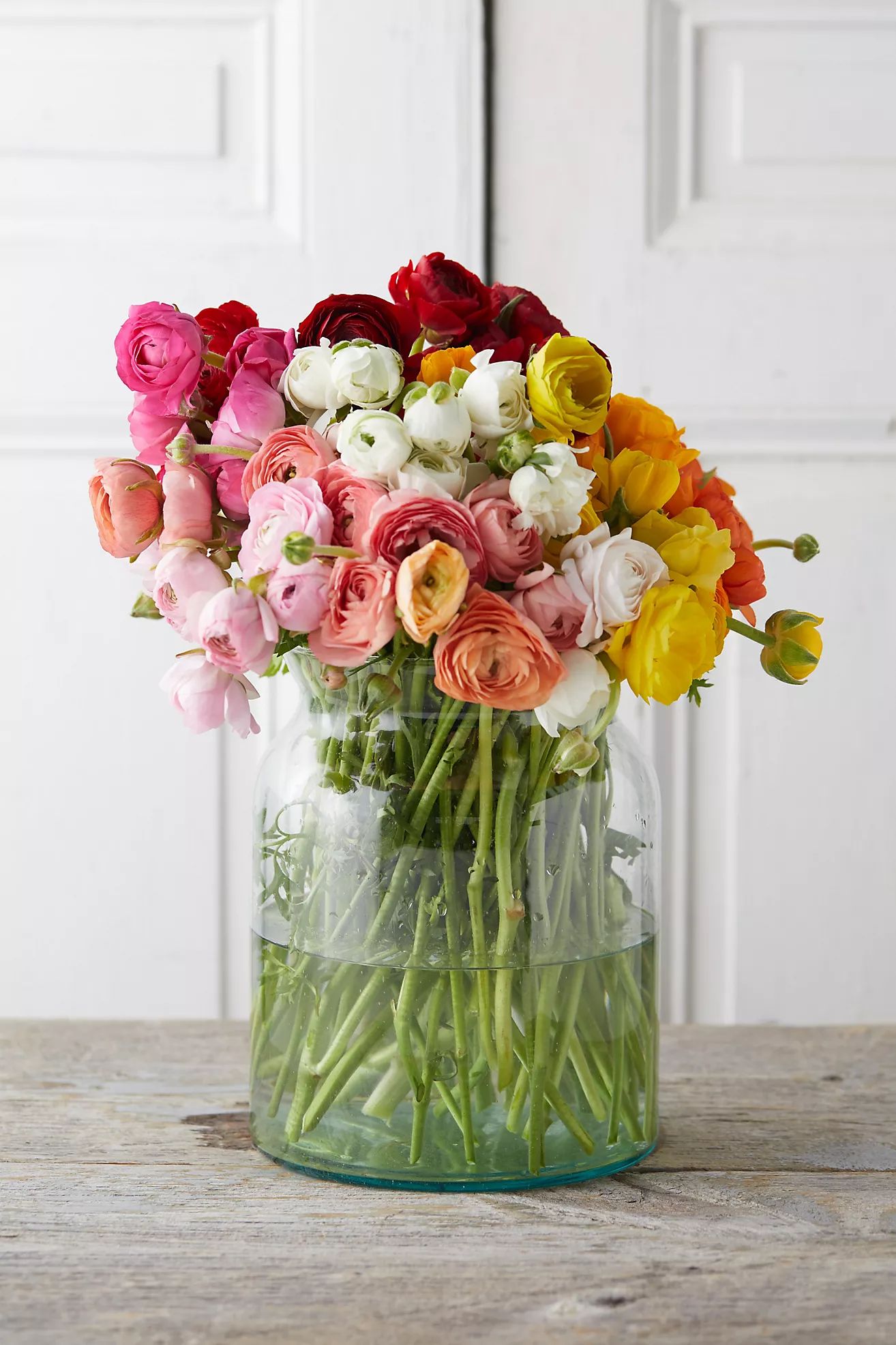 Fresh Rainbow Ranunculus Bunch | Anthropologie (US)