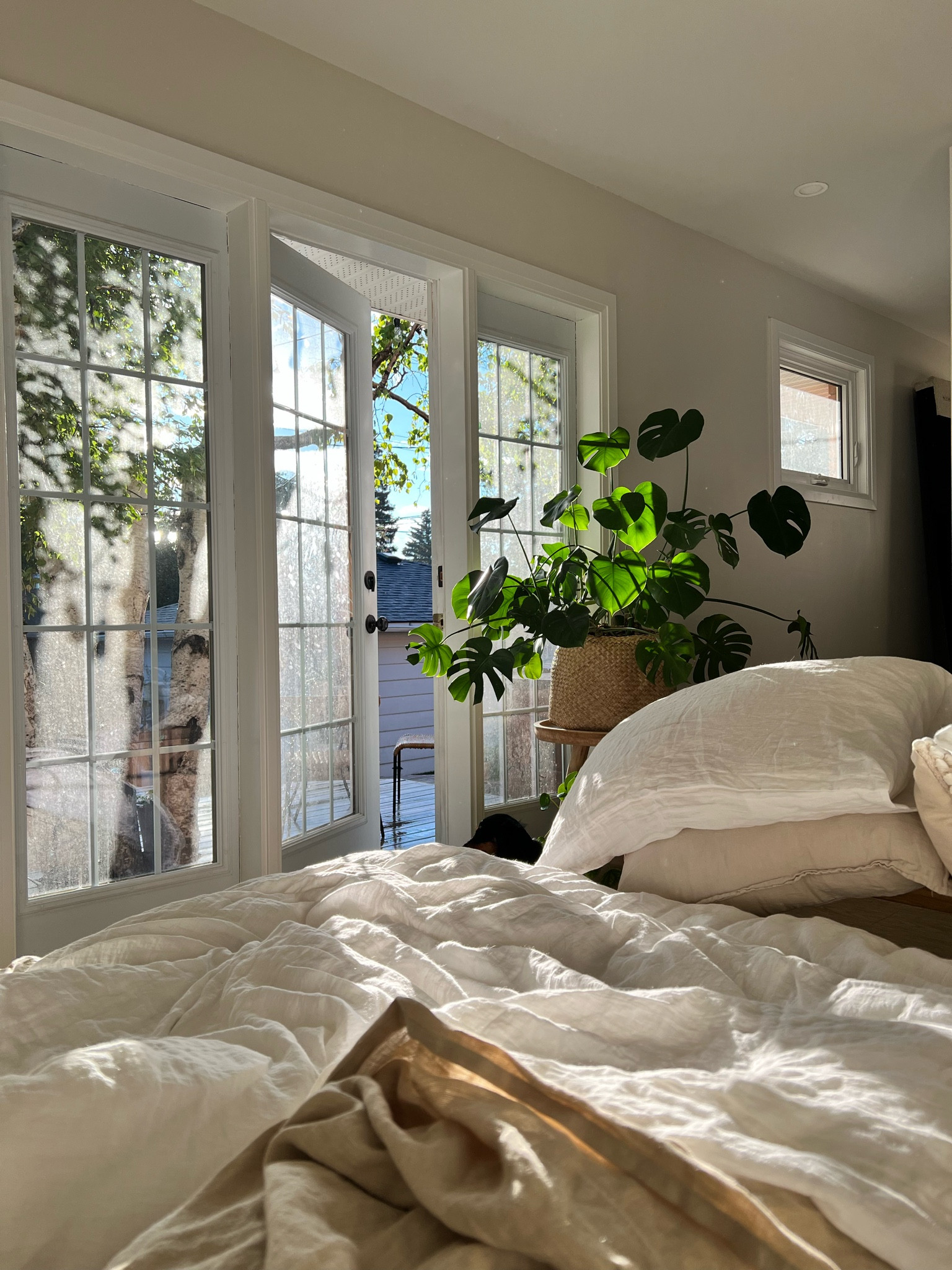When your dreams are your reality

#LTKhome #LTKSeasonal #LTKFind