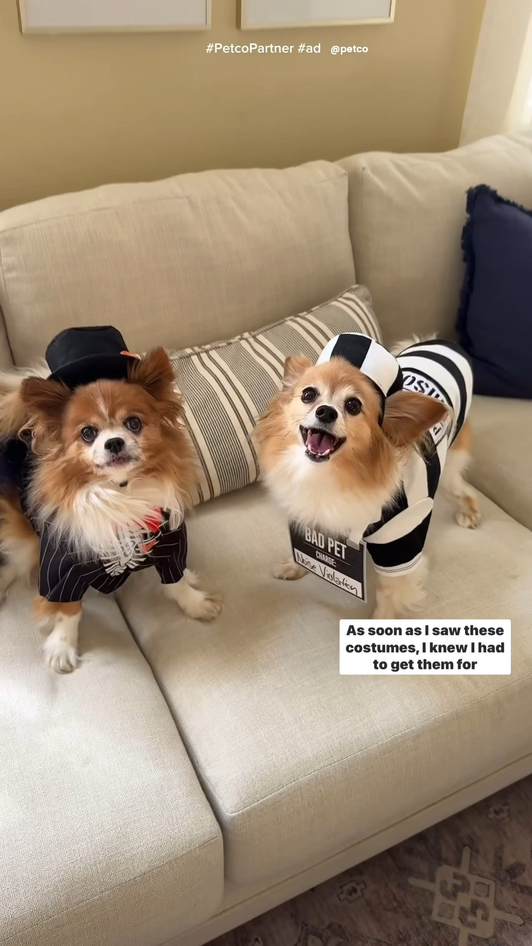 Halloween: Pet edition!! Grabbed these adorable pet Halloween costumes + fall festive treats starting at $2.99! All linked below.  #ad #PetcoPartner @petco 

#LTKParties #LTKHalloween #LTKSaleAlert