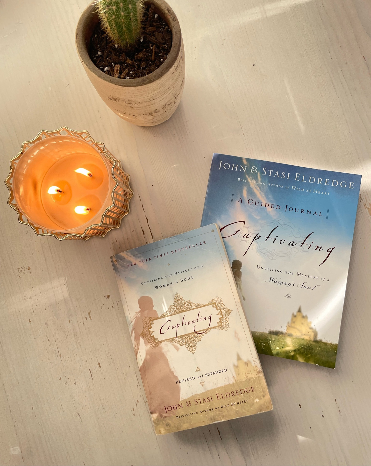 I LOVE CAPTIVATING! & I’m so excited to go through it again using the guided journal 🤗

#LTKGiftGuide