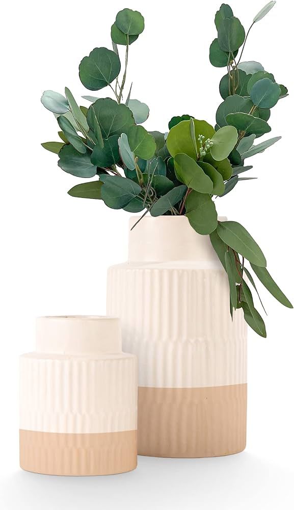 Ceramic Vase - 2 White Unique Vases Set for Modern Boho Home Decor, Small and Large Organic Neutr... | Amazon (US)