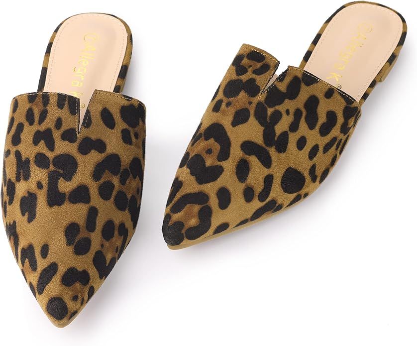Allegra K Women's Mules Pointed Toe Loafer V Shape Flat Slides Backless Shoes | Amazon (US)