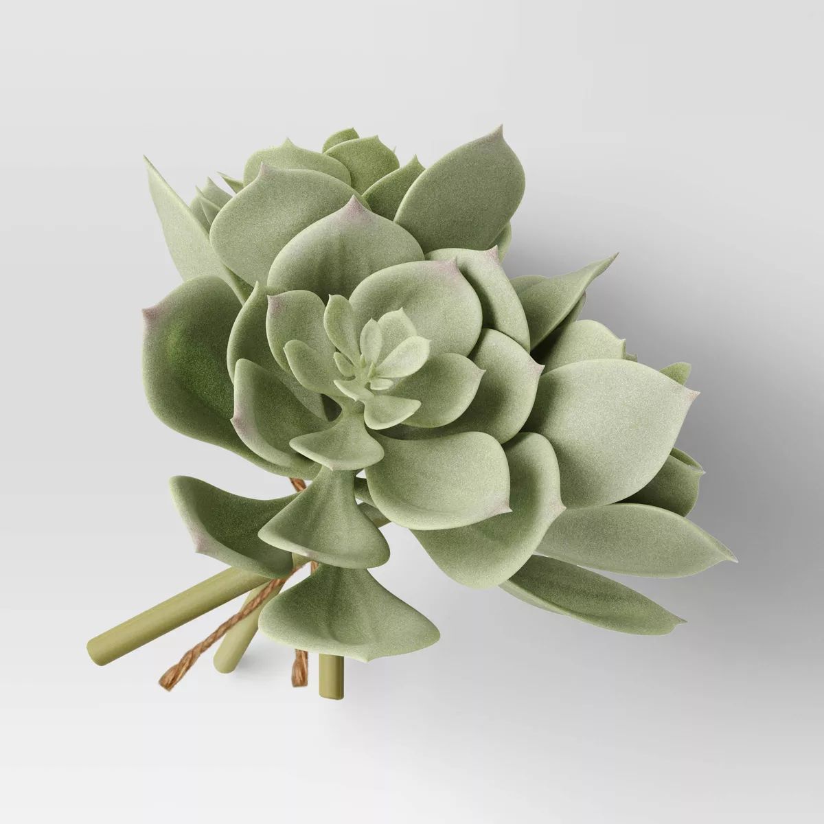 Echeveria Succulent Mini Stem Bundle - Threshold™ | Target
