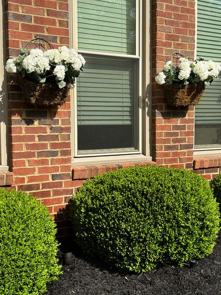 The flowers in my hanging baskets are faux!  Love these geraniums as they are quite lifelike!  If you want low maintenance planters, these are a great option. 




Amazon , outdoor UV resistant flowers, artificial flowers, garden patio

#LTKfindsunder100 #LTKSeasonal #LTKhome