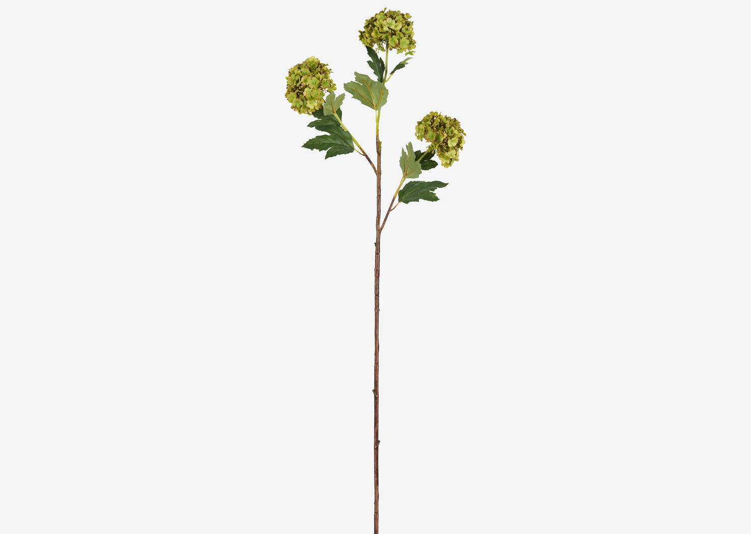 Raylee Snowball Branch Fern | Urban Barn