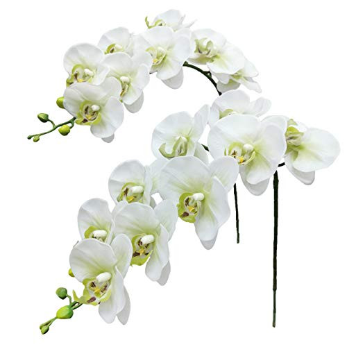Fnize Faux Orchid Stems Real Touch Artificial Phalaenopsis Flowers Latex Petals 38 Inches 2pcs (Green White) | Amazon (US)