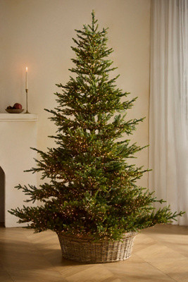 Rolled Rim Woven Rattan Tree Skirt | Anthropologie (US)