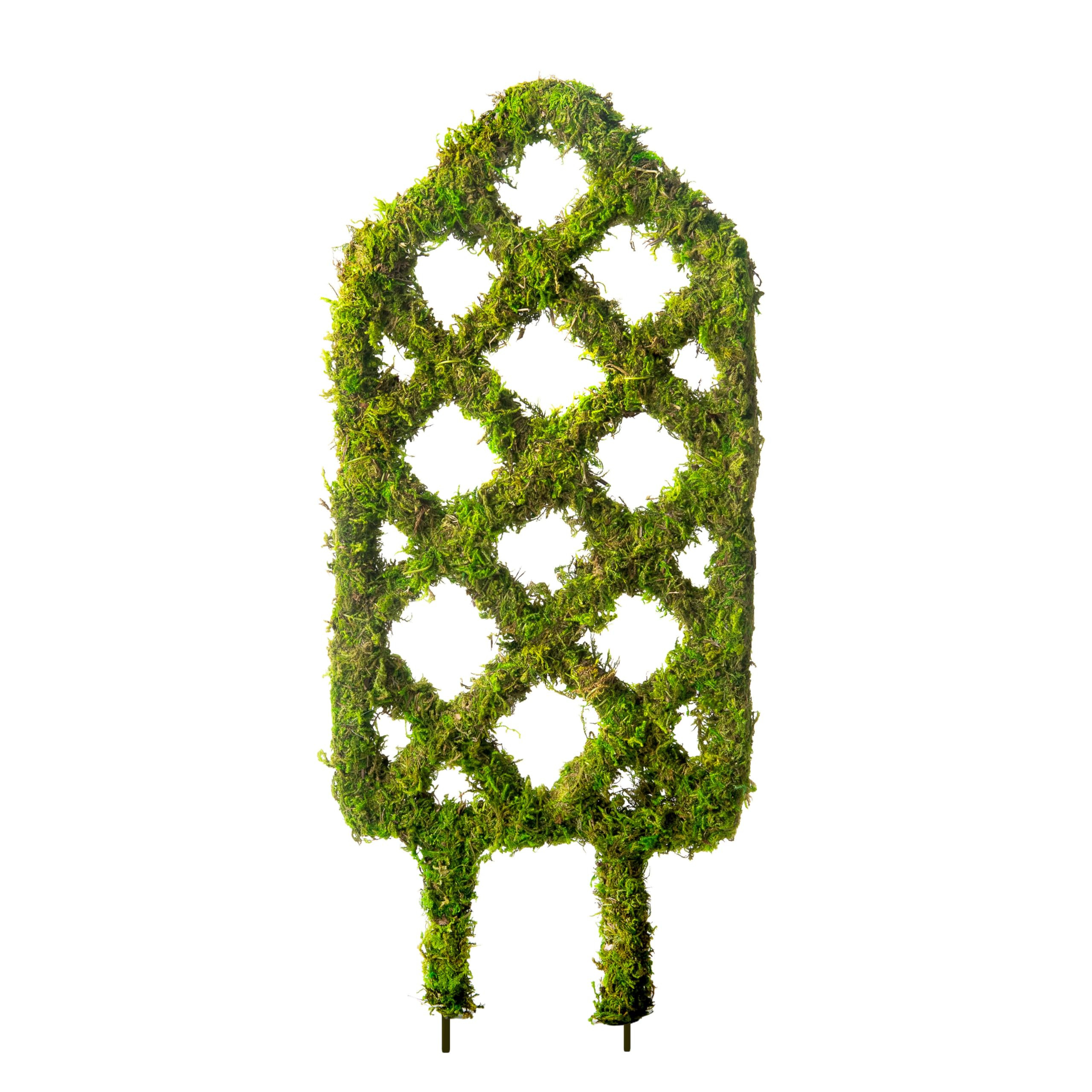 SuperMoss Plant Trellis - Decorative Garden Trellis for Climbing Plants Indoor & Outdoor | Moss-C... | Amazon (US)