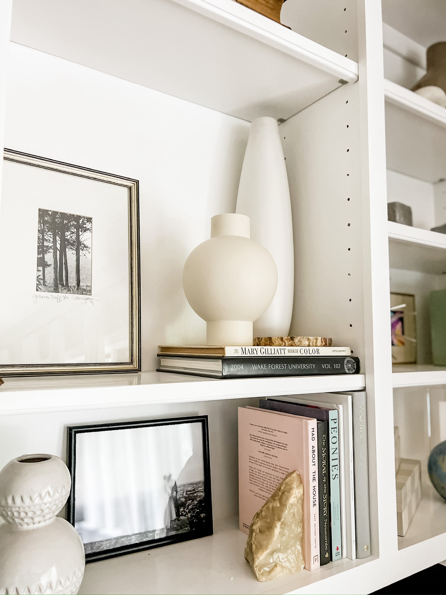 Pretty neutral vases! I love how you can style these with or without faux stems in them. I like how these look together styled on my bookshelf!

Home decor, home accents, accent pieces, Amazon home, Amazon home decor, Amazon finds, under $60, bookshelves, how to style a bookshelf, decorative books, picture frames, coffee table book, #amazon

#LTKhome #LTKstyletip #LTKfindsunder50