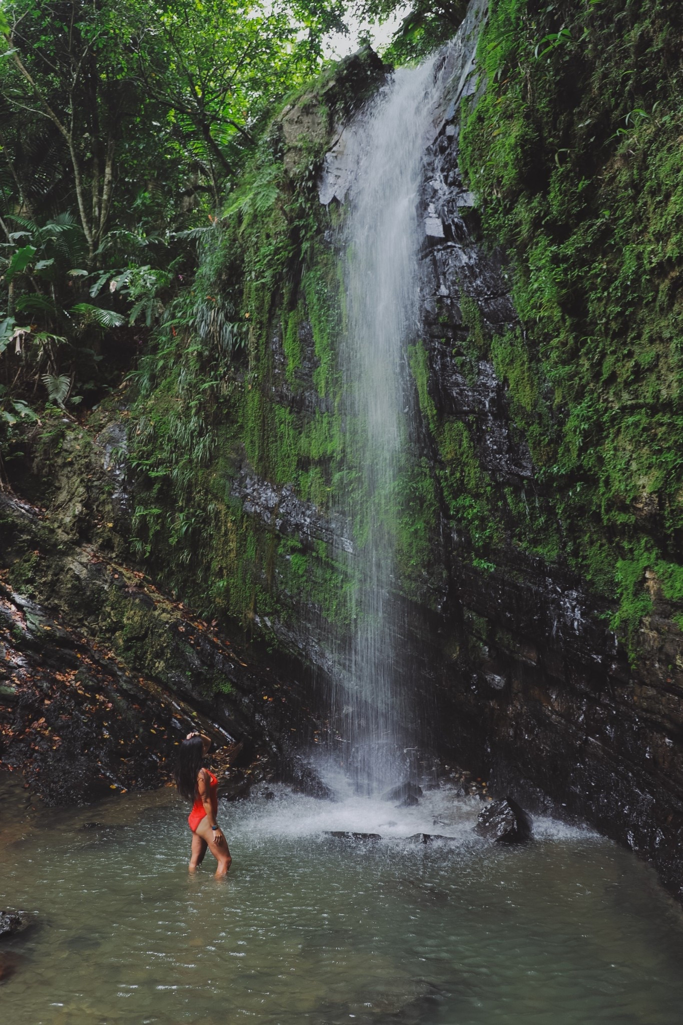 Travel, swimsuit, red, rainforest, el yunque, puerto rico

#LTKSwim #LTKTravel #LTKStyleTip
