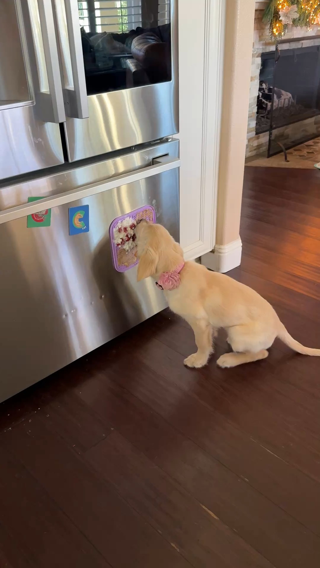 dog mom must-haves 🐶💐
these lick mats are on heavy rotation in our house. i spread a few different toppings on them (plain greek yogurt, pumpkin purée, peanut butter, mashed banana), pop them in the freezer, and they keep my golden girls calm, busy, and very happy. perfect for crate time, grooming, post-walk cool downs, or when you just need five quiet minutes.

and the flower collar charm?? absolutely unnecessary but completely essential. too precious. zero regrets.

why i love them:
• easy enrichment for dogs
• helps with anxiety + boredom
• great for freezing treats
• affordable dog mom win
• collar flowers add instant personality



dog lick mat
lick mat for dogs
dog enrichment toys
dog boredom busters
dog anxiety relief
frozen dog treats
dog mom essentials
golden retriever must haves
dog calming toys
crate training tools
dog grooming distractions
cute dog accessories
dog collar flower
pet accessories amazon
dog treats enrichment

#LTKdayinmylife #LTKHome #LTKmomlife