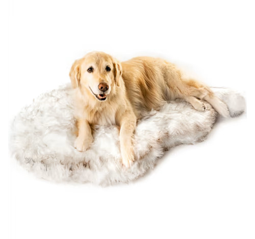 Paw Brands PupRug Curve Luxury Faux Fur Orthopedic Memory Foam Washable Dog Bed, 60" L X 35" W X ... | Petco