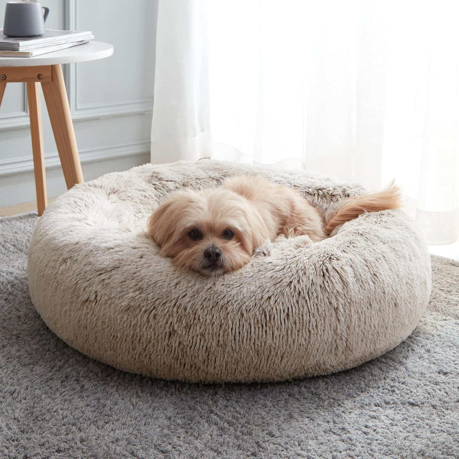 WESTERN HOME WH Calming Dog & Cat Bed, Anti-Anxiety Donut Cuddler Warming Cozy Soft Round Bed, Fl... | Amazon (US)