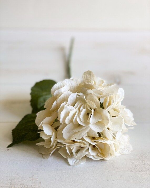 Cream Hydrangea - Faux Flower - Off White - Ivory - Hydrangea - Flower Arranging - Silk Flower - ... | Etsy (US)
