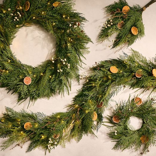 Faux Citrus Garden Collection | West Elm (US)