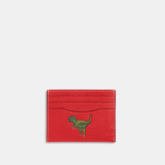 Card Case With Rexy | Coach (US)