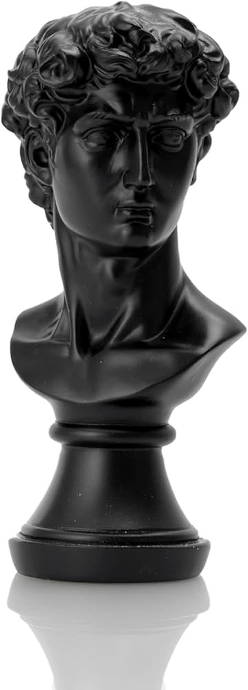 BOIHEGU Black David Statue, 8 inch/20.3 cm Greek David Bust Statue, Resin Greek Mythology Bust Sc... | Amazon (US)