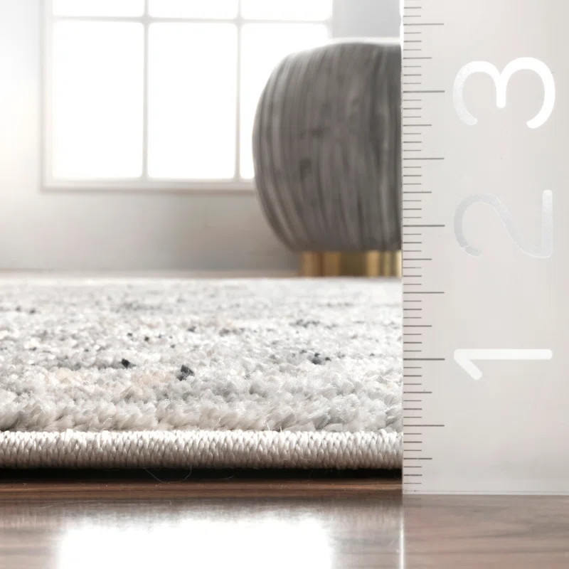 Edwa Oriental Area Rug in Light Gray | Wayfair North America