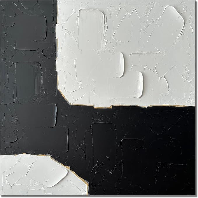 zoinart Hand Painted Black and White Canvas Wall Art 36x36 Inches Abstract Wall Paintings Modern ... | Amazon (US)