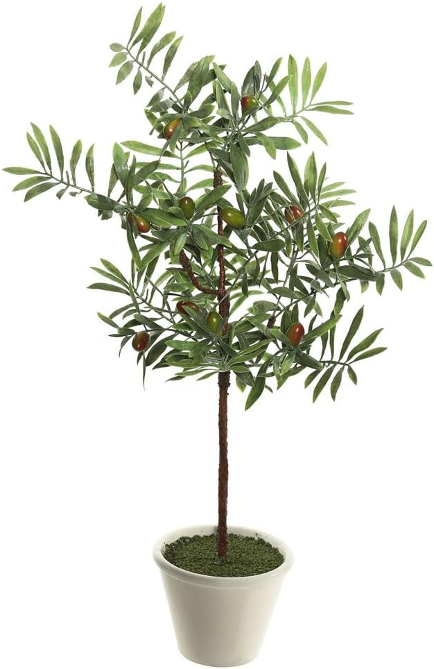 Vickerman FK171203 Everyday Olive Tree | Amazon (US)