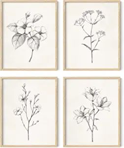 HAUS AND HUES Framed Vintage Botanical Prints - Set of 4 Framed Farmhouse Bedroom Wall Decor, Rus... | Amazon (US)