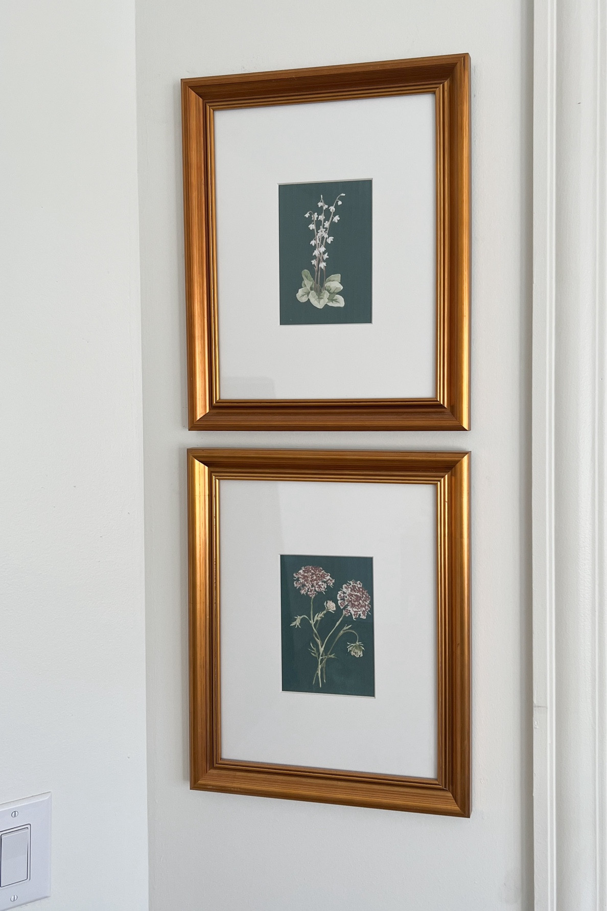 Gallery frames on sale at Target! Save 30% now!

#LTKsalealert #LTKhome #LTKstyletip
