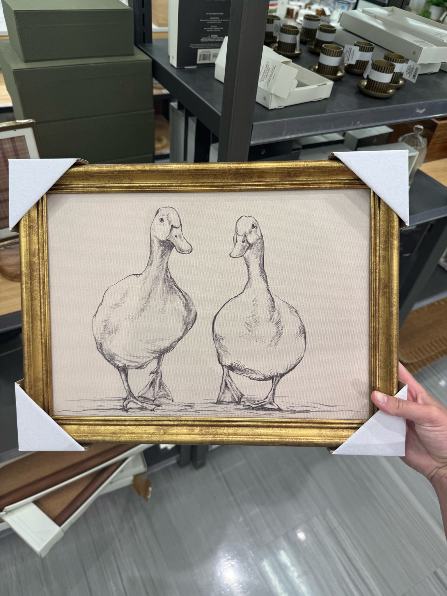 Goose artwork @Target 

Picture frame wall decor fall home decor neutral home decor

#LTKmomlife #LTKSeasonal #LTKHome