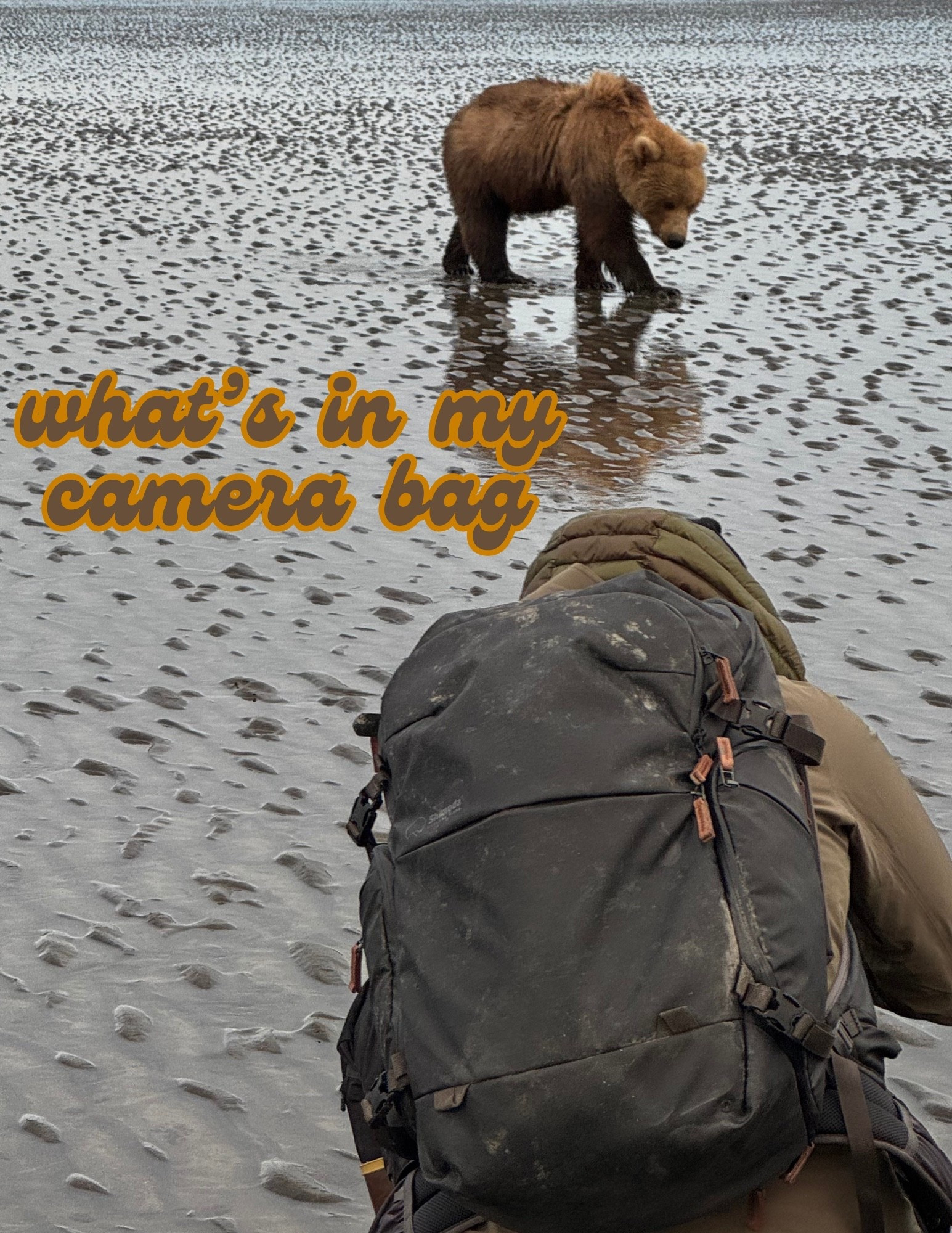 What I packed in my camera bag to shoot wildlife in Alaska 📸

#LTKU #LTKTravel