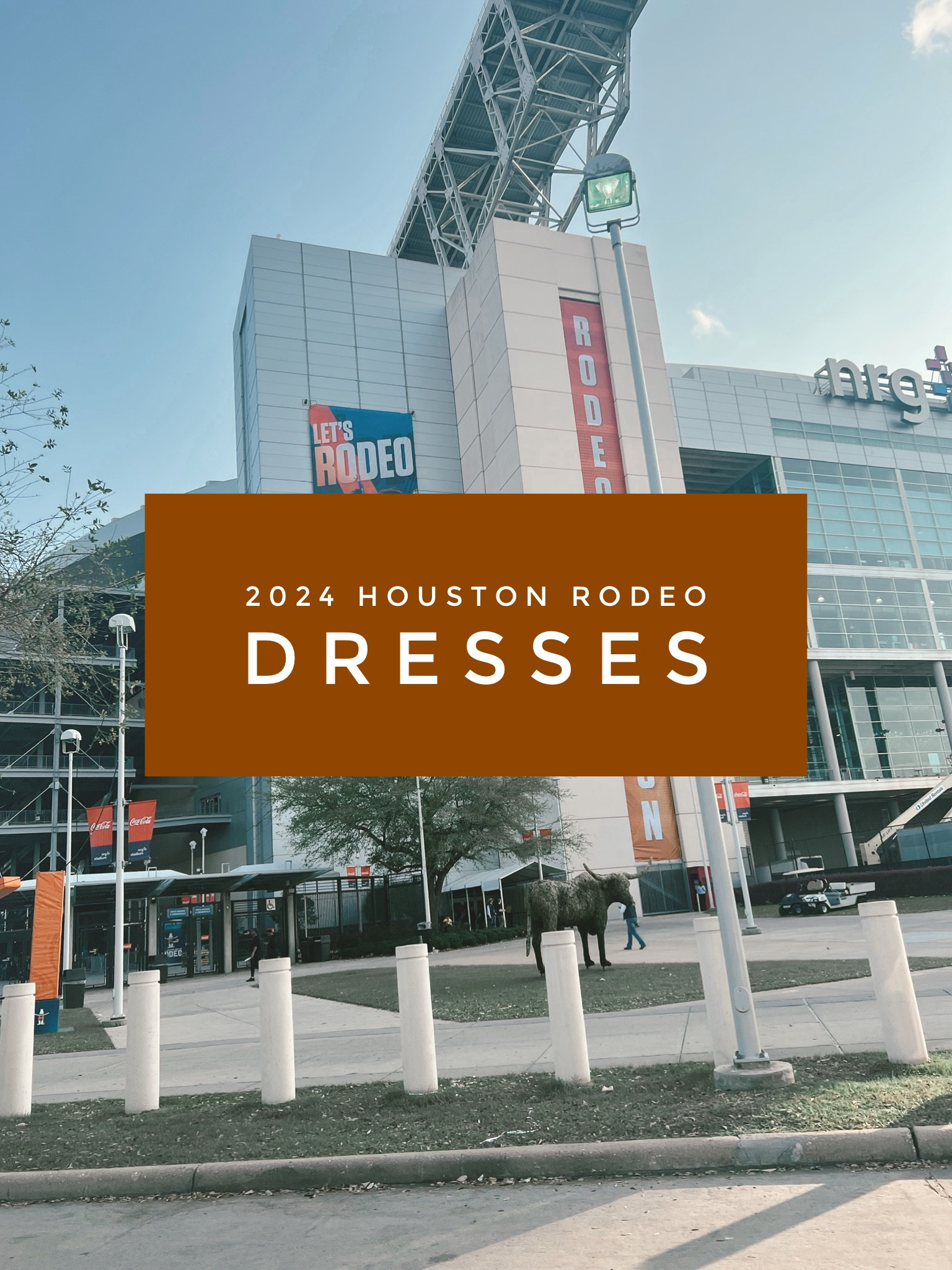 Dresses & skirts for the Houston Rodeo 2024

#LTKSeasonal