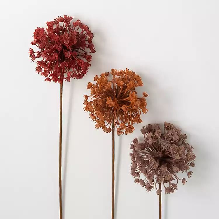 New! Fall Queen Anne's Lace Orb Stems, Set of 3 | Kirkland's Home