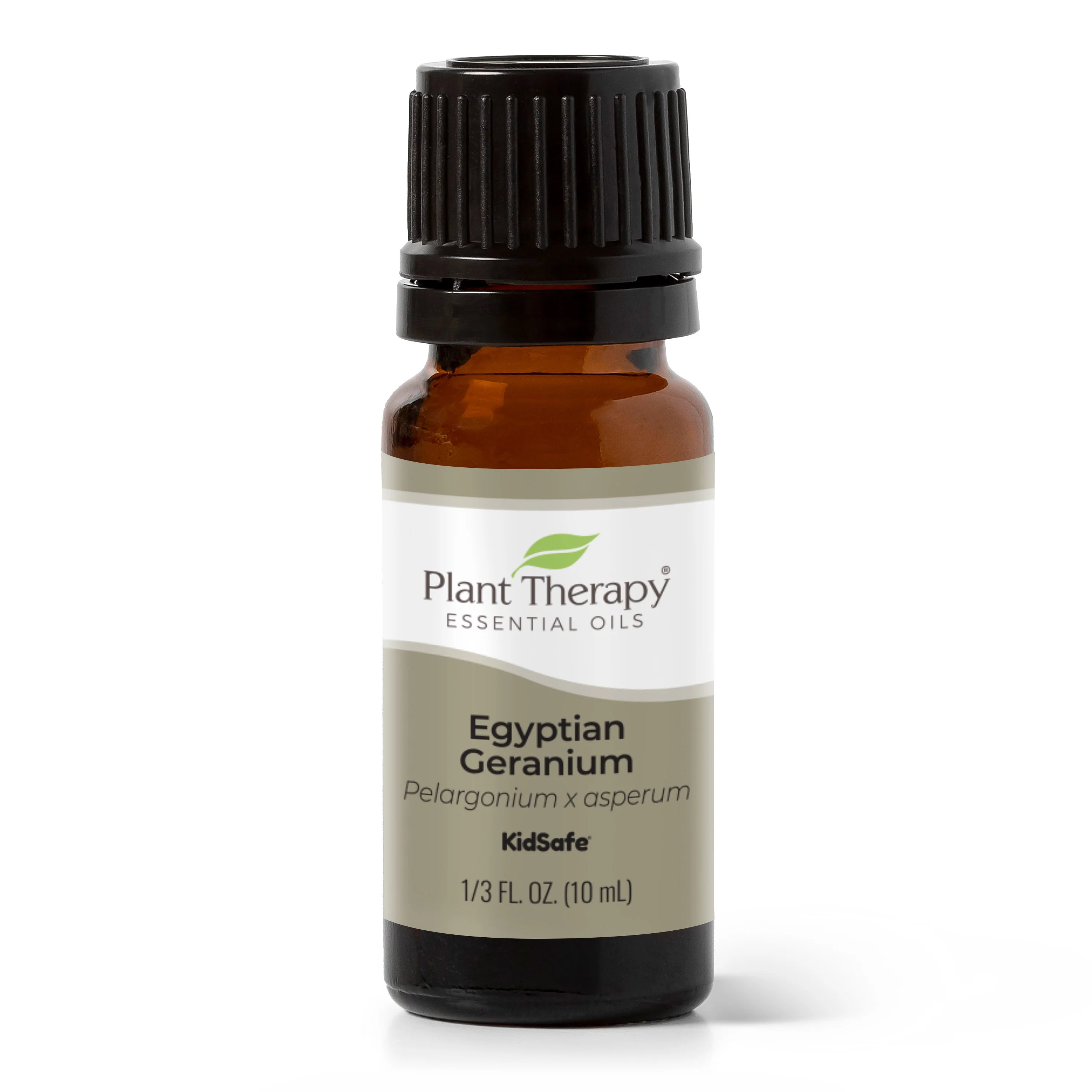 Egyptian Geranium Essential Oil | Plant Therapy