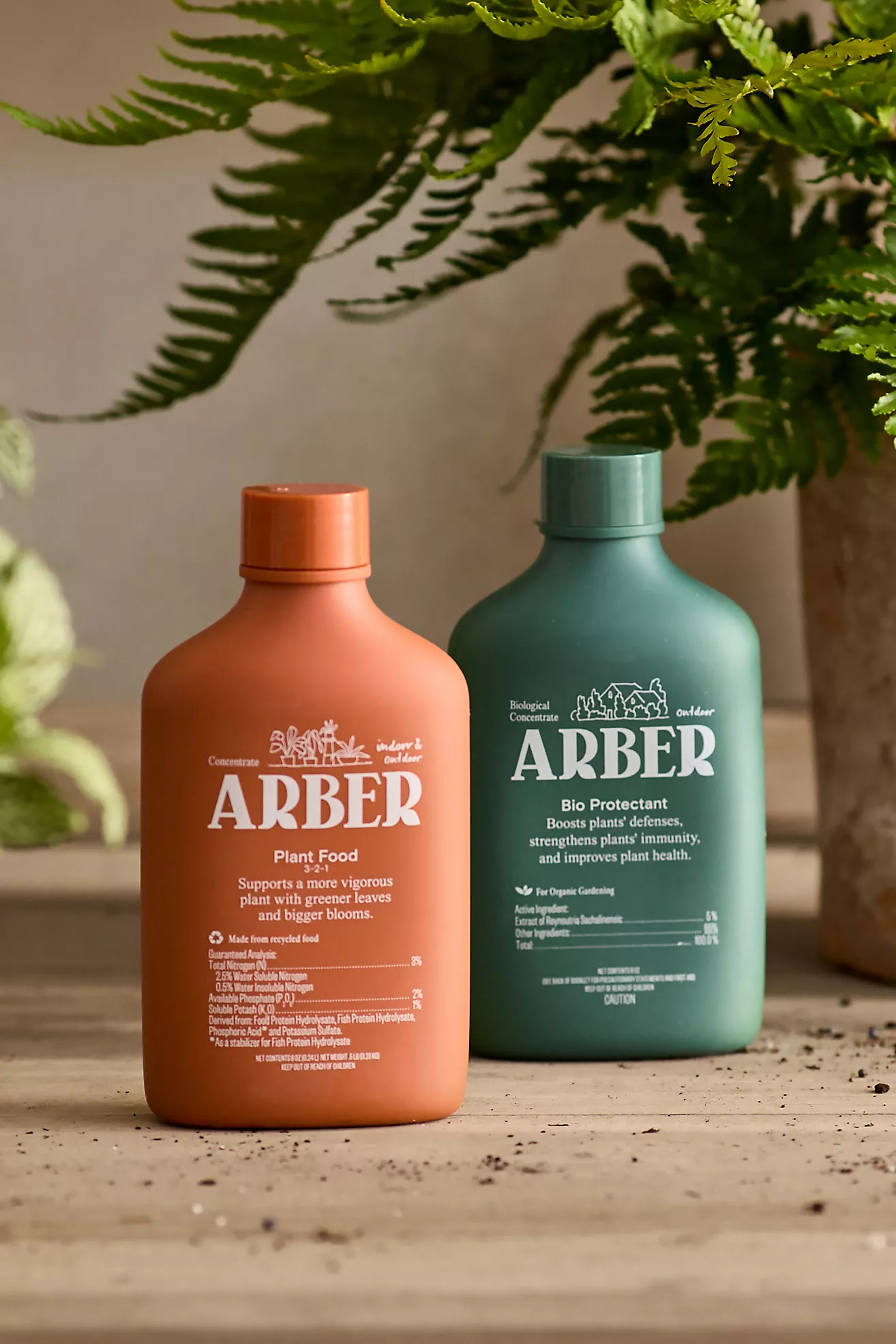 Arber Amendment Starter Sets | Terrain