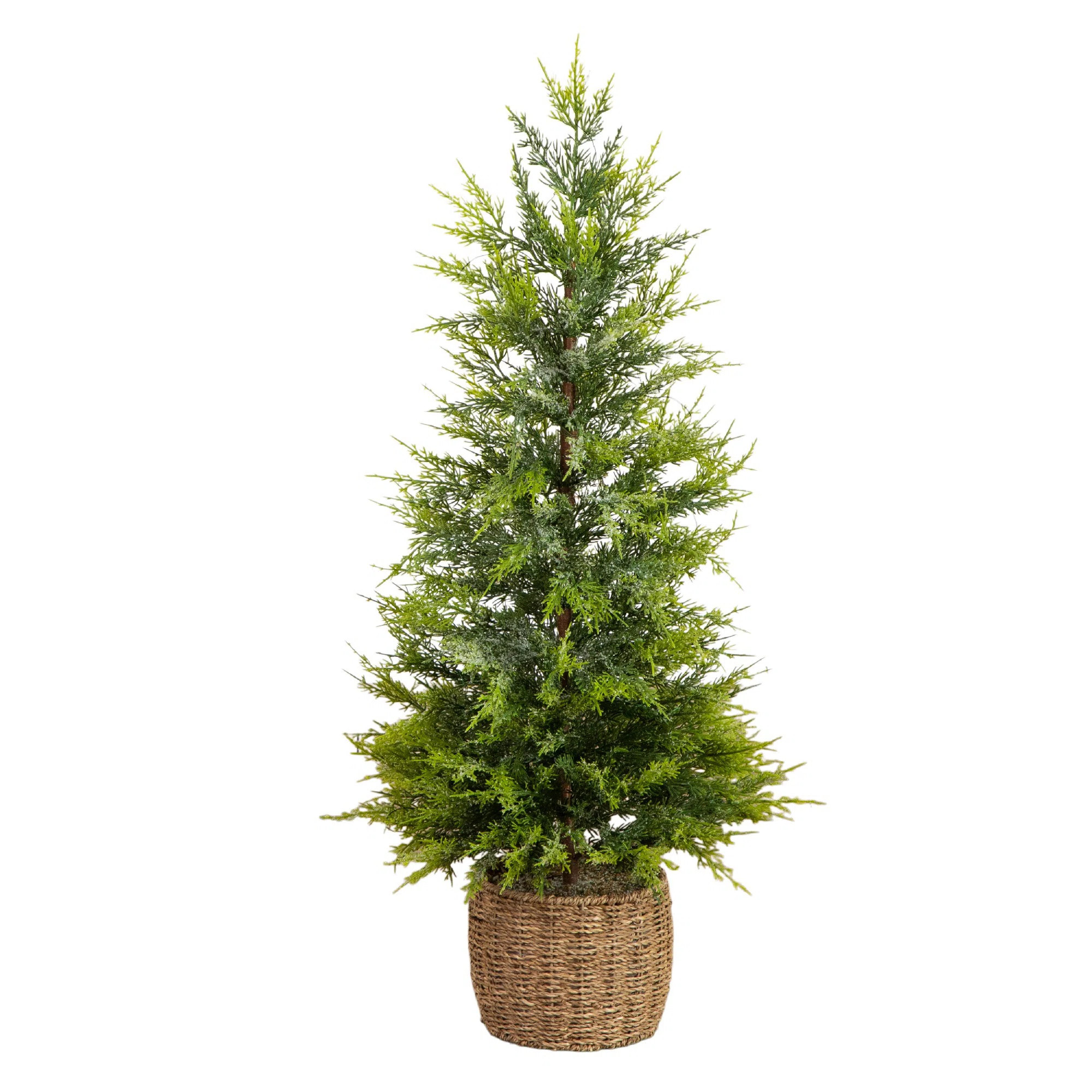 3Ft. Pre-Lit Artificial Lightly Snowed Cypress Christmas Tree With 38 Warm White LED Lights In De... | Joss & Main
