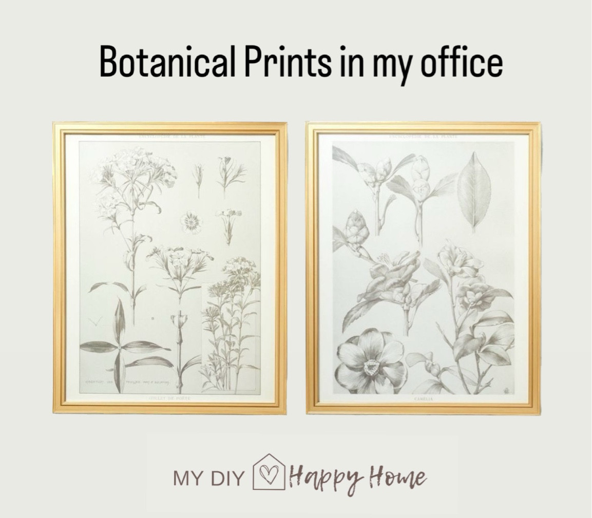 The botanical prints in my office. 
Back in stock! 

#LTKstyletip #LTKhome #LTKFind