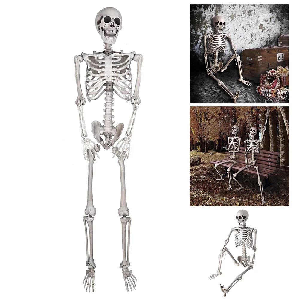 5ft Full Body Skeleton Props with Movable Joints for Halloween Party Decoration - Walmart.com | Walmart (US)