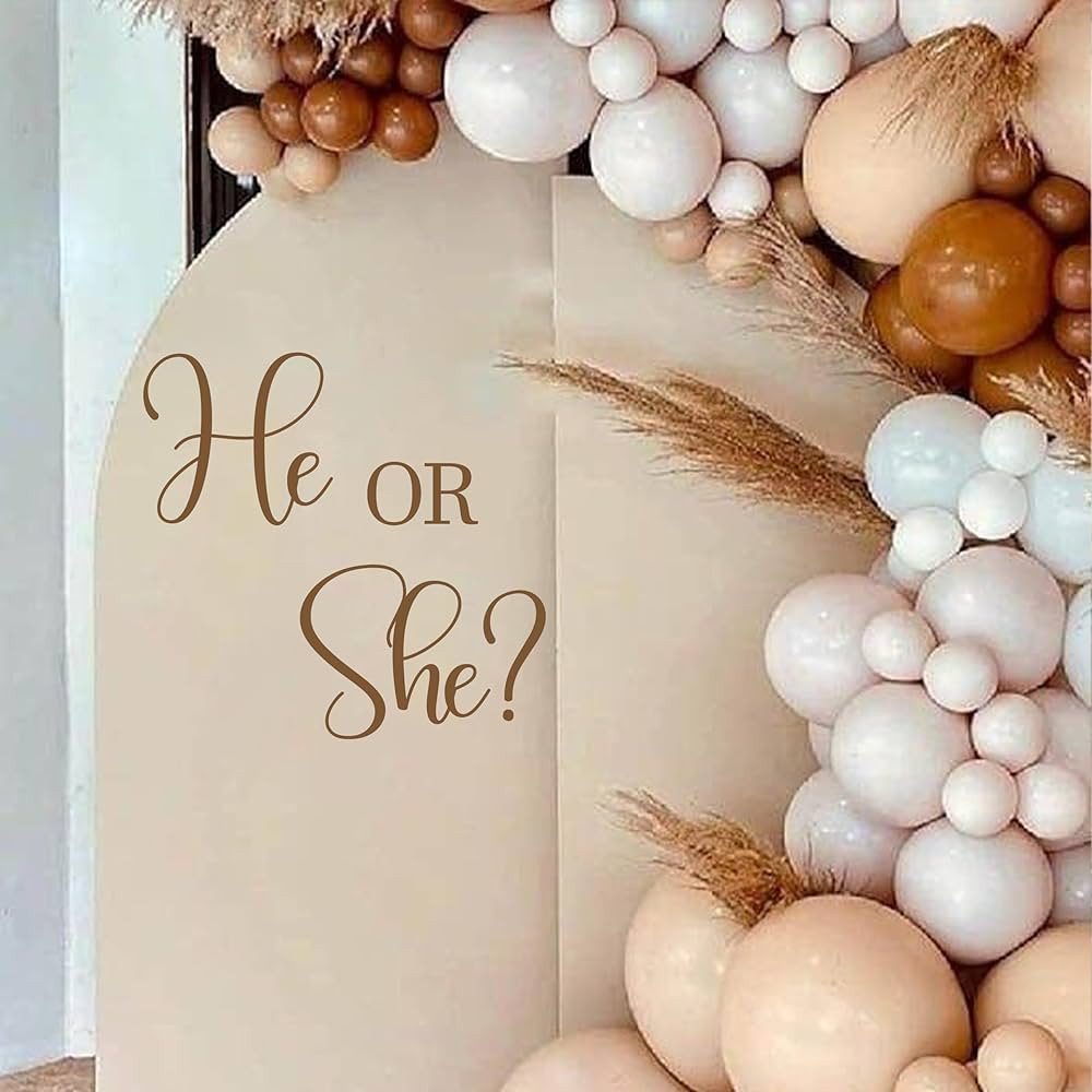 He or She Gender Reveal Decal for Balloon Arch - Balloon Arch Decoration, Girl or Boy Backdrop Pa... | Amazon (US)