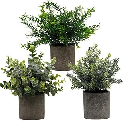 Zcaukya Small Potted Artificial Plants, Artificial Eucalyptus Plants Fake Rosemary 9.5" Plastic G... | Amazon (US)