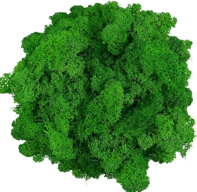Moss Preserved Artificial Moss Natural Fresh Green Moss for Craft Arts Floral Project Wall Decor ... | Amazon (US)