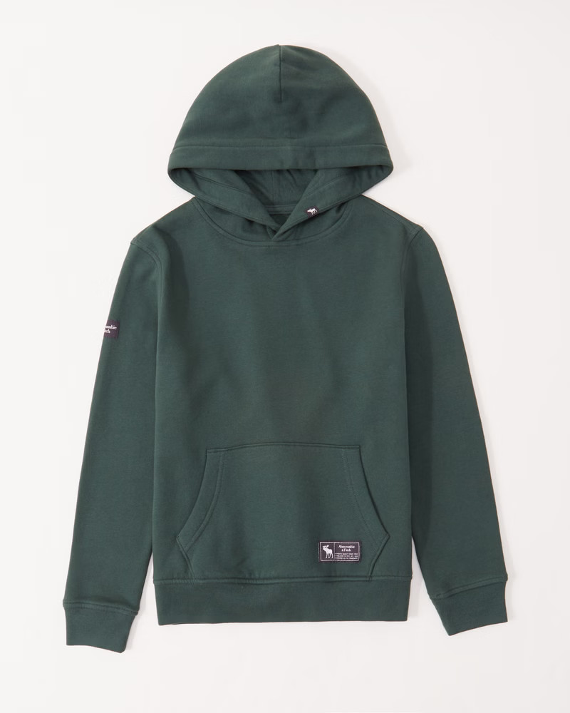 essential logo hoodie | Abercrombie & Fitch (US)