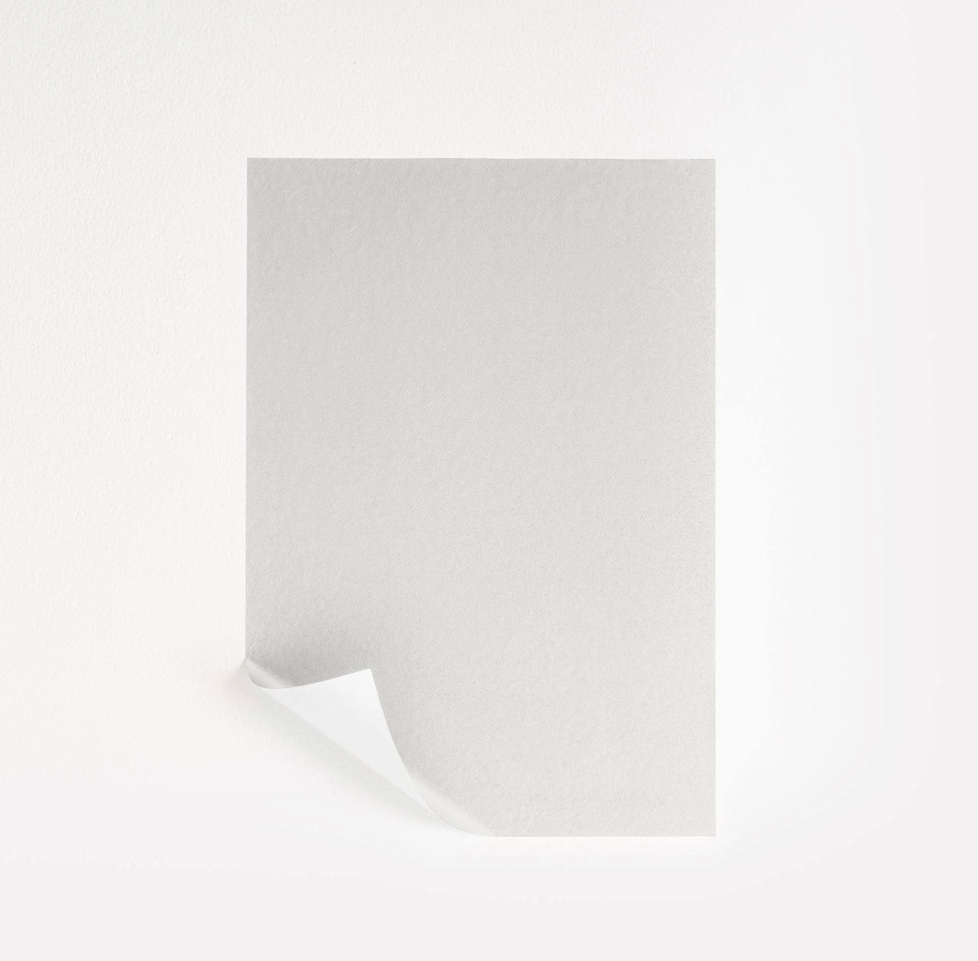 White Sand | Samplize