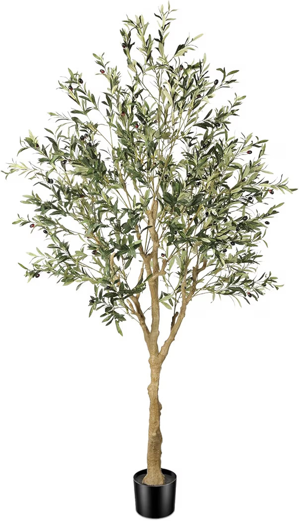 Faux Olive Tree 7ft - Realistic Artificial Olive Tree 7 Feet Indoor (84") - Tall Fake Potted Oliv... | Amazon (US)