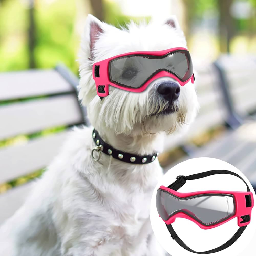 QUMY Dog Goggles UV Protection Eye Wear Protection, Dog Sunglasses Windproof Anti-Fog, Pet Glasse... | Amazon (US)