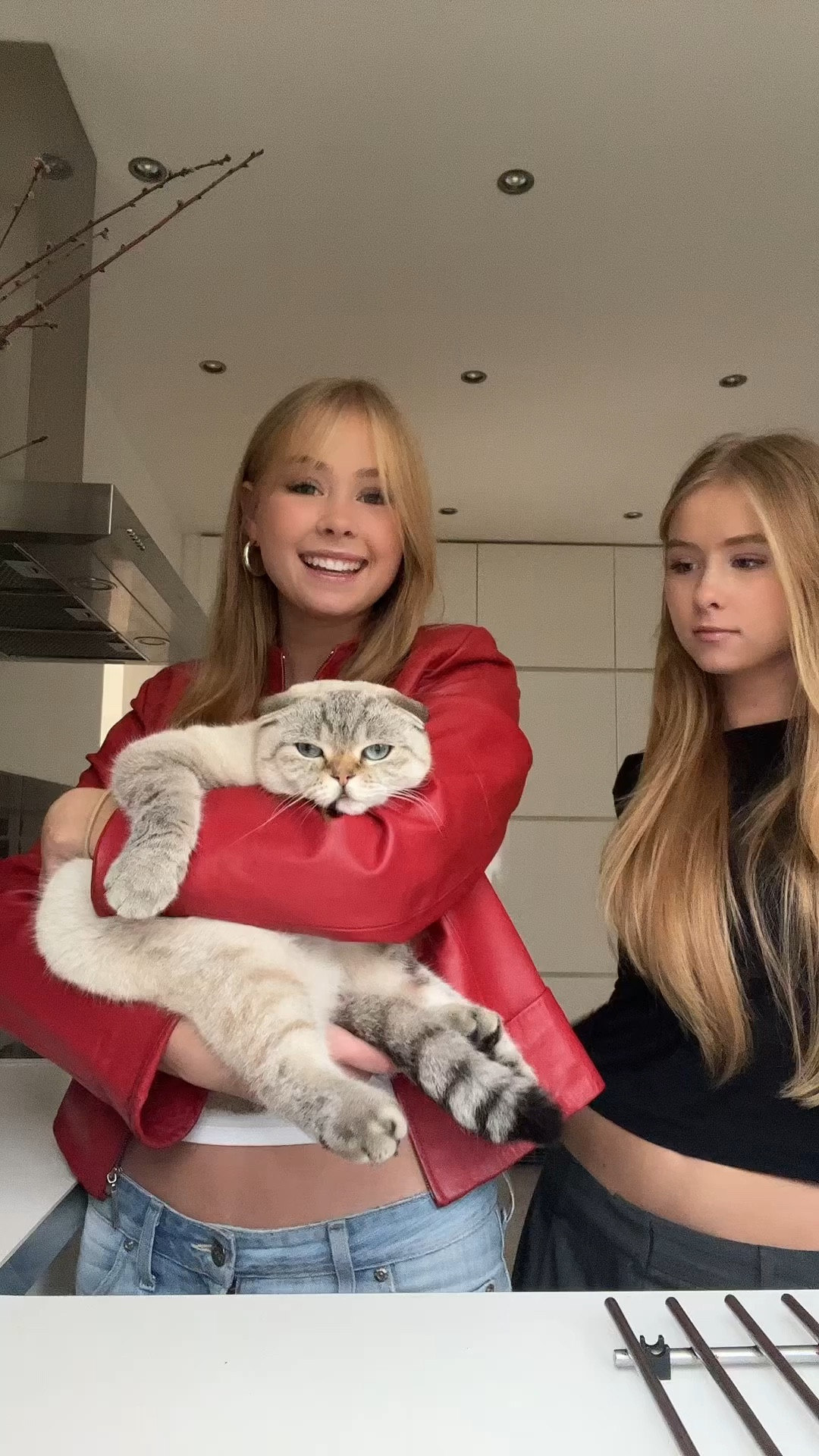 Red leather jacket, low rise jeans, grey tailored trousers, skim dupe, fitted black long sleeve, weekday, free people 

#LTKeurope #LTKSeasonal #LTKstyletip