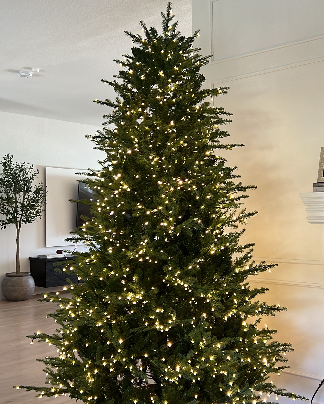 Viral Home Depot Christmas tree 

#LTKSeasonal #LTKHoliday #LTKHome