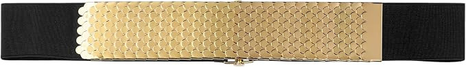 Women's Metal Elastic Waist Belt Fashion Fish Scale Elastic Wide Belt for Dresses | Amazon (US)