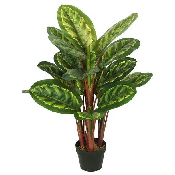 Peacock Plant Everyday Tree with Pot-Green & Brown - 3 ft. | Walmart (CA)