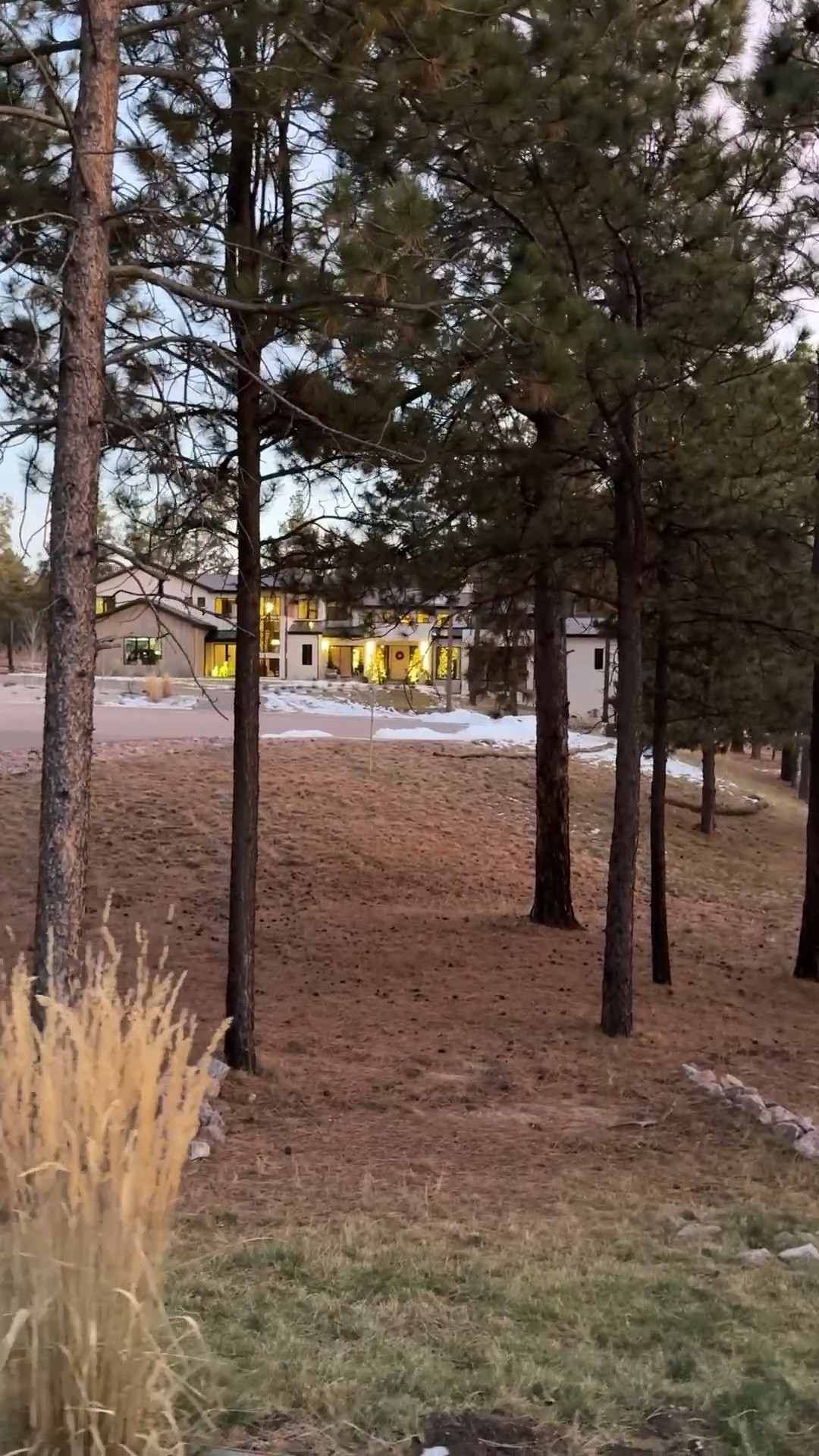 Taking advantage of these clear days to get in all the walks with Lulu! We used the same exterior lights around the whole house.

#LTKHome #LTKdayinmylife