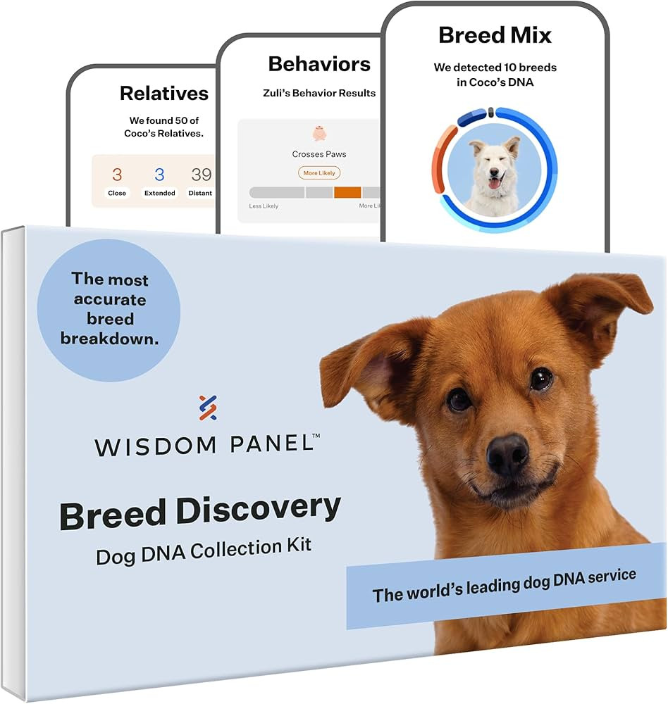 Wisdom Panel Breed Discovery Dog DNA Kit: Most Accurate Dog Breed Identification, Test for 365+ B... | Amazon (US)
