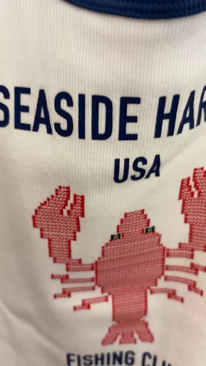 This little seaside tank is so cute for summer! ☀️ Perfect with shorts, denim, or a skirt for an easy @target outfit!!

spring, summer, travel fourth of july, dress, summer dress, @target 

 #LTKootd #LTKSeasonal #LTKSaleAlert