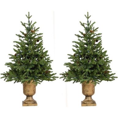 Noble Fir Set of 2 Christmas Trees with Metallic Urn Base, Various Sizes and Lighting Options | Fraser Hill Farm